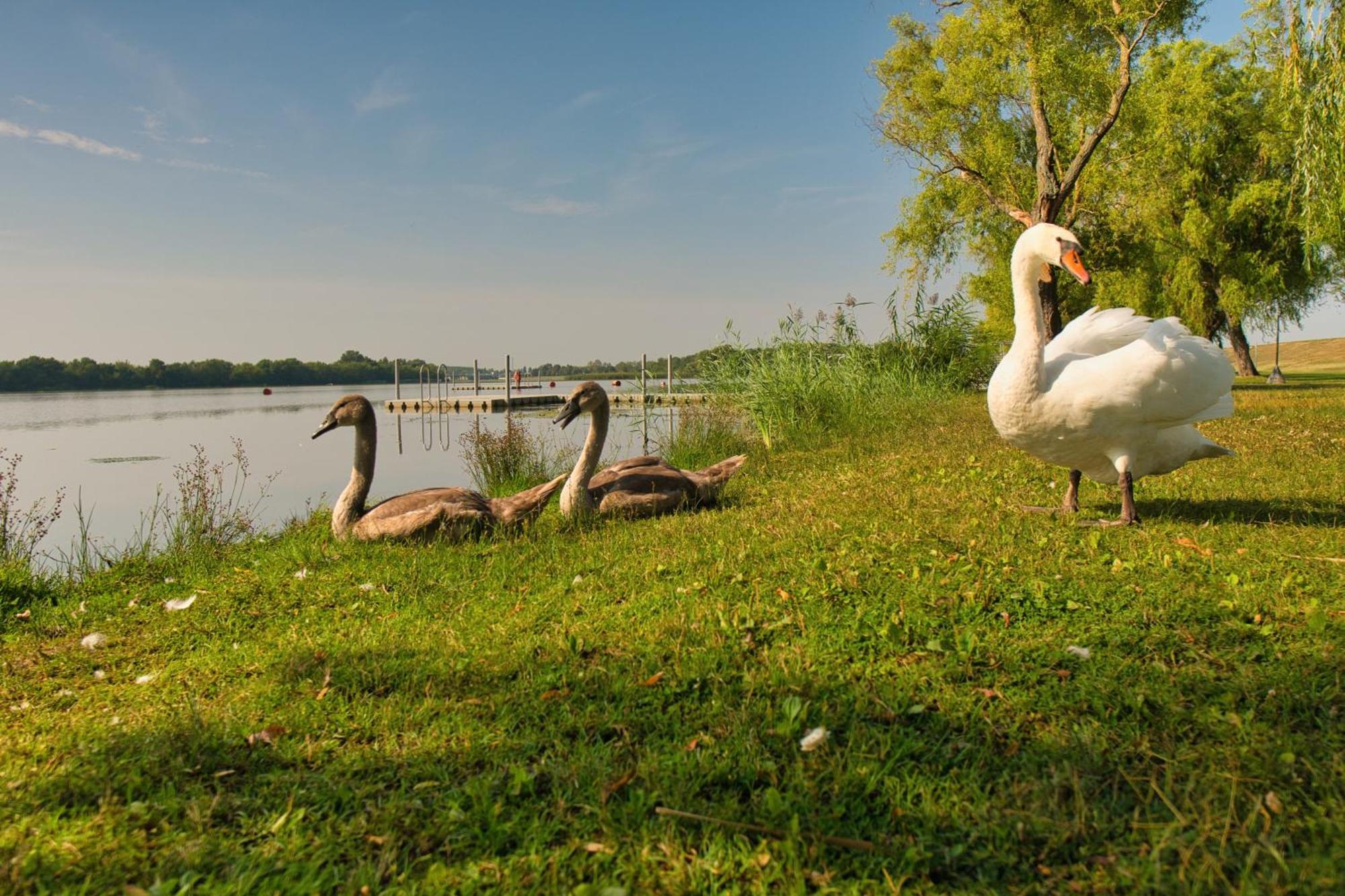 Tisza-tó Apartmanpark Apartmanhotel *